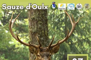 Locandina con un cervo al centro ed i dettagli dell'evento che si svolgerà il 27 luglio 2025.
