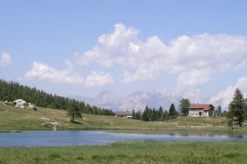 Sfoglia la galleria
