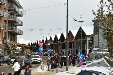 Sfoglia la galleria